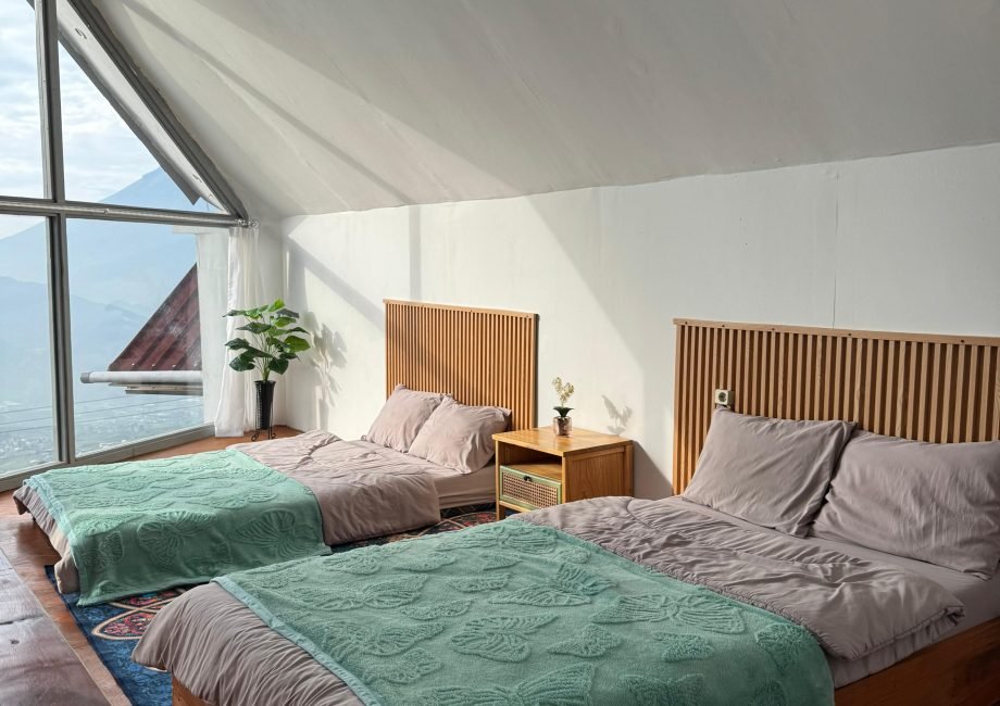 ba6a233d-20d9-42bb-acf0-c1a9a44979ed